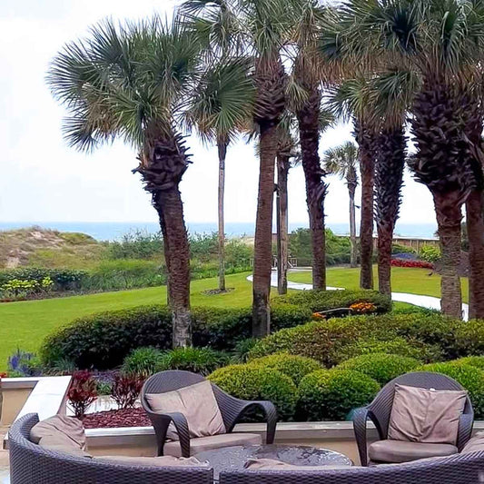 Ritz carlton amelia lobby bar