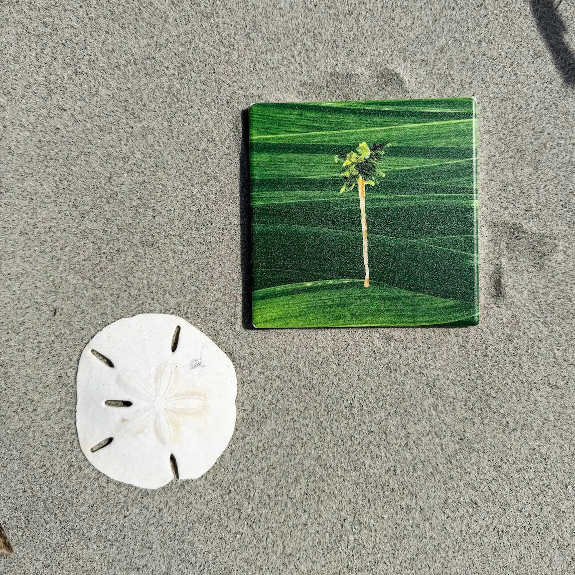 Coastal ceramic coaster with cork backing—square design for hot or cold drinks, easy to clean, and full of coastal charm.