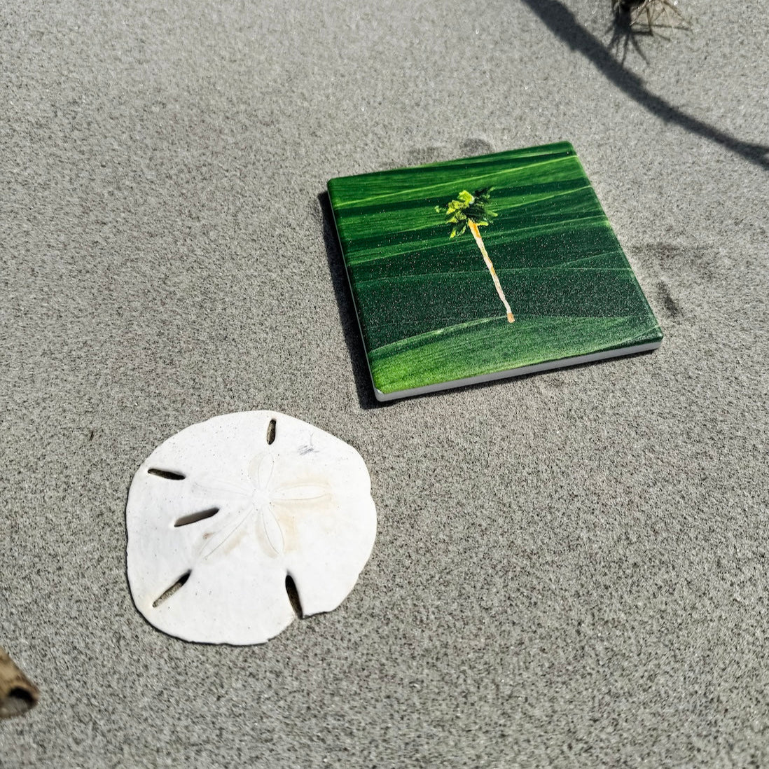 Coastal ceramic coaster with cork backing—square design for hot or cold drinks, easy to clean, and full of coastal charm.