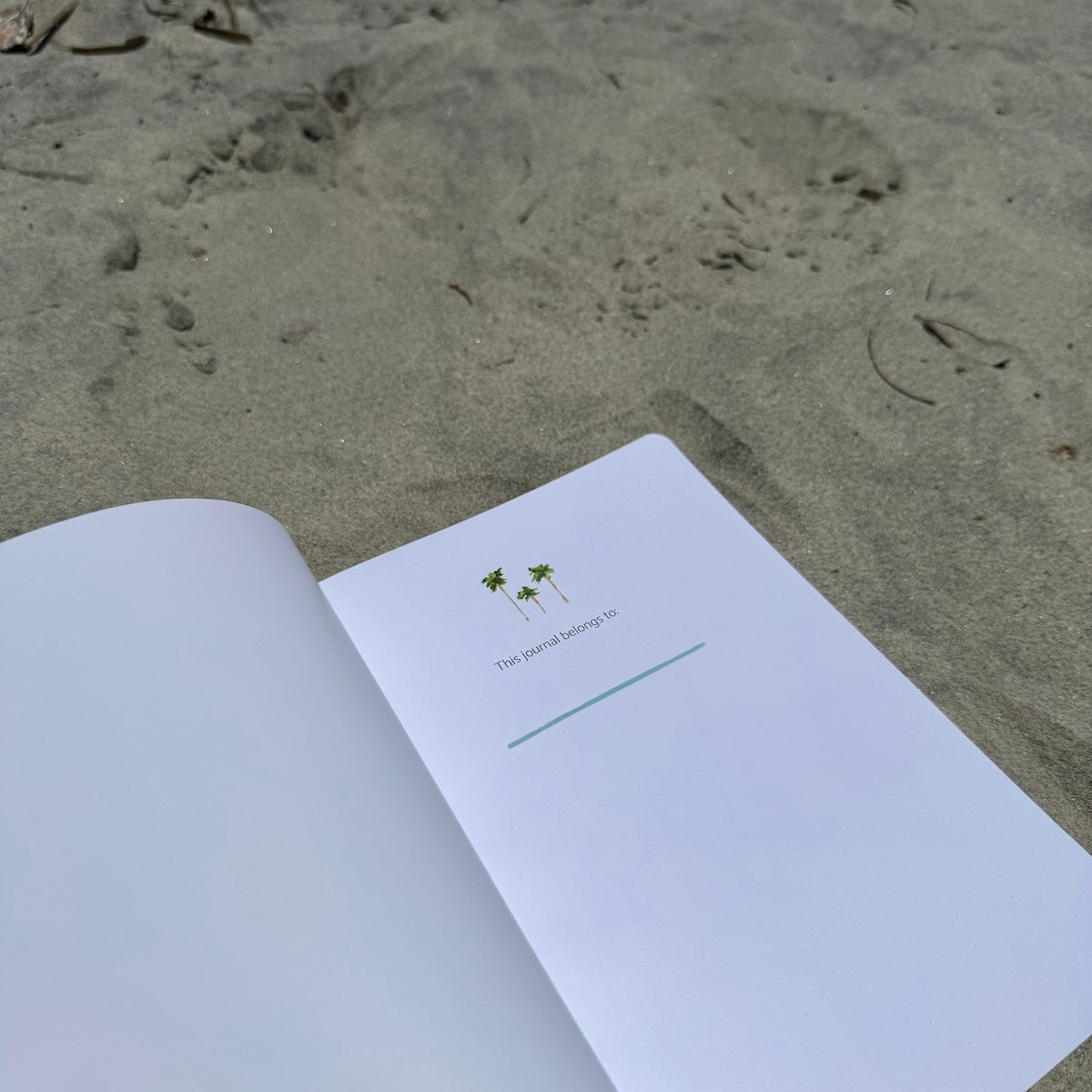 Softcover notebook with 100 lined pages and matte finish—perfect for everyday writing, travel notes, or your to-do list.