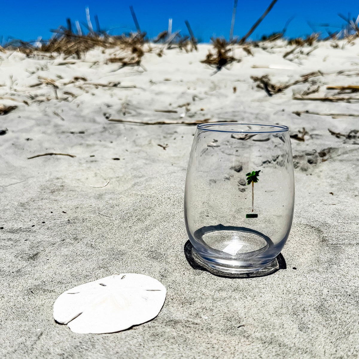 Coastal stemless wine glass holds 15 oz—coastal coastal design.