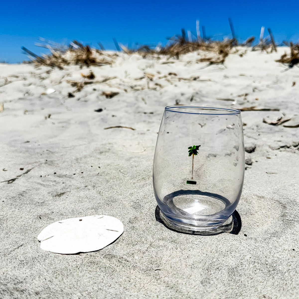 Coastal stemless wine glass holds 15 oz—coastal coastal design.