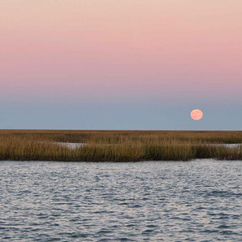 Coastal Expedition Moonlight Tour