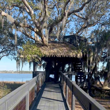 Daniel Island Treehouse