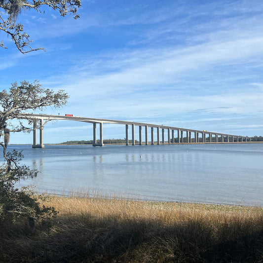 Daniel Island SC
