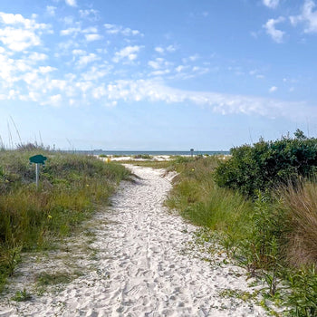 Isle of Palms beach access 49