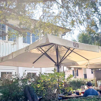 Obstinate Daughter Sullivan's Island