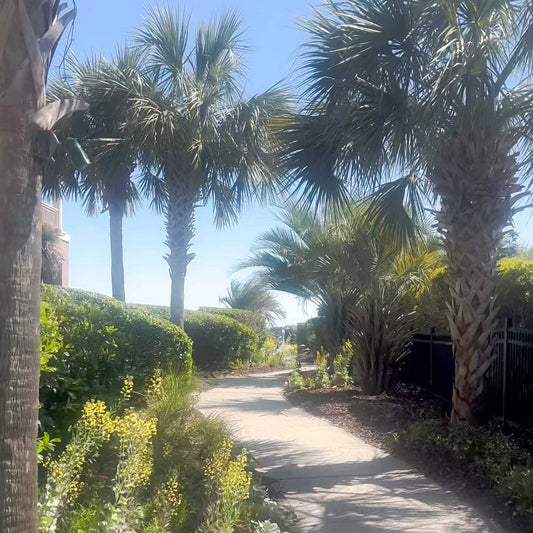 Kiawah Resort