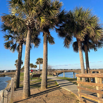 The Pitt Street Bridge Mount Pleasant SC