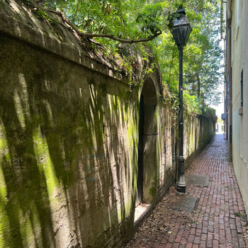 Stolls Alley Charleston 