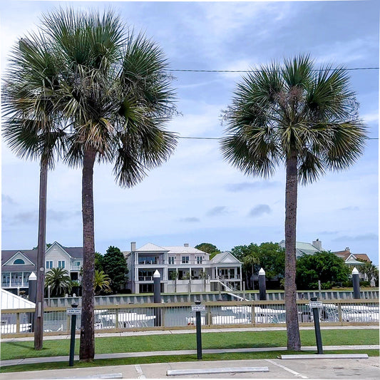 Isle of Palms Marina The Outpost  