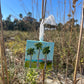 Nothing but a Breeze | Fine Art Ornament