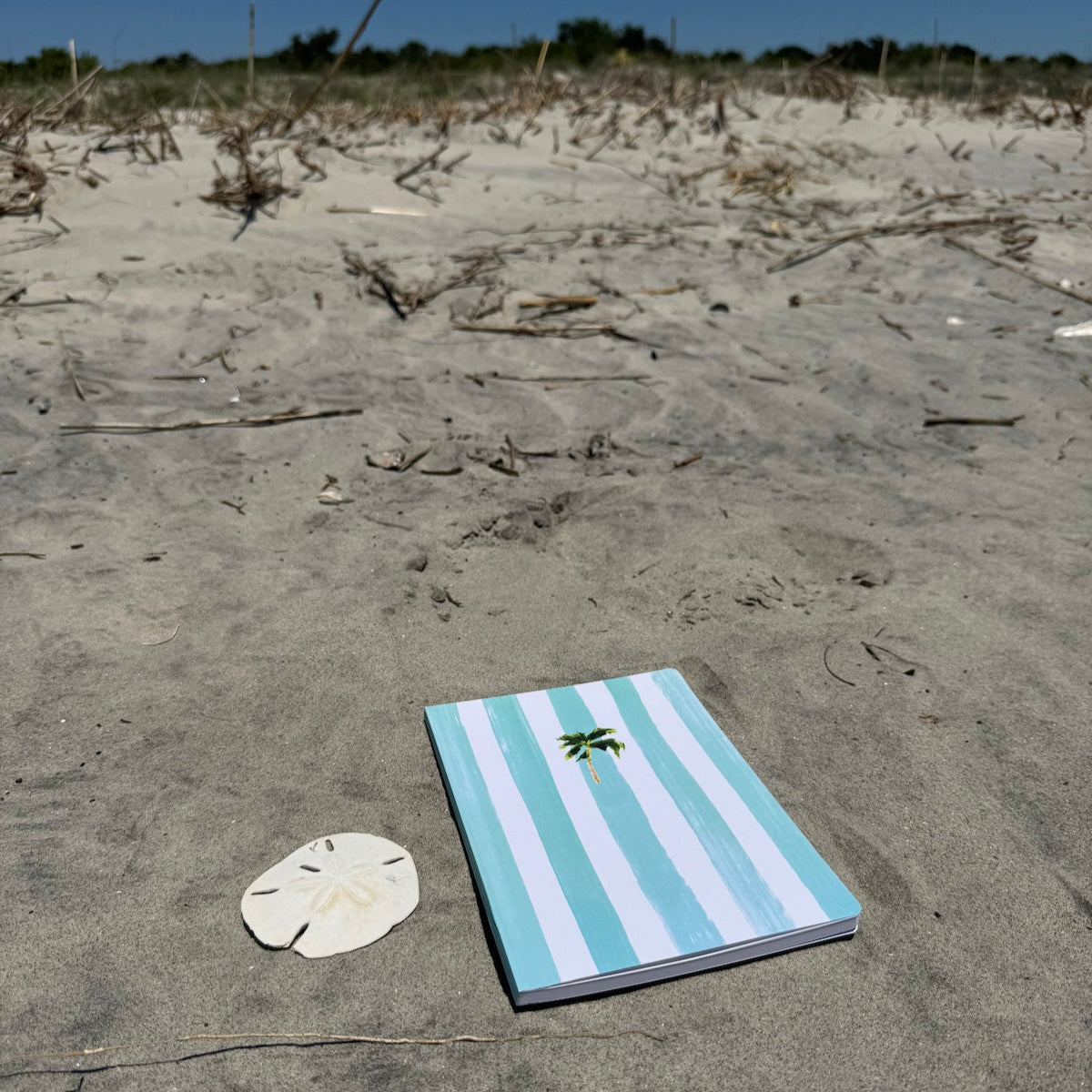 Softcover notebook with 100 lined pages and matte finish—perfect for everyday writing, travel notes, or your to-do list.
