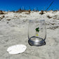 Coastal stemless wine glass holds 15 oz—coastal coastal design.
